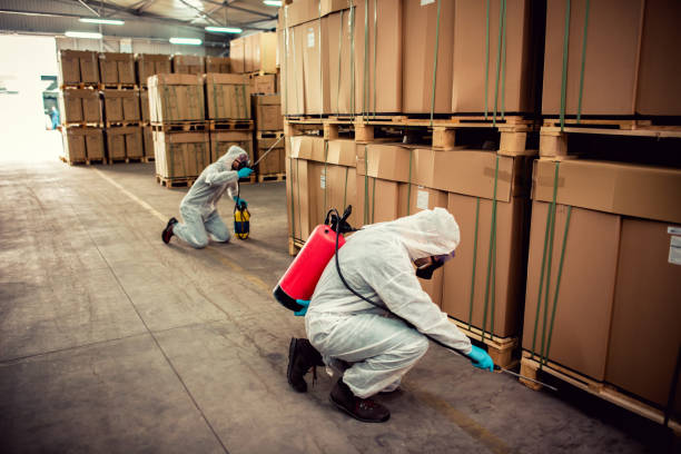 Best Wasp Removal Services  in New Castle, IN