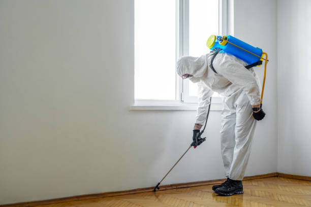 Flea Control Services in New Castle, IN
