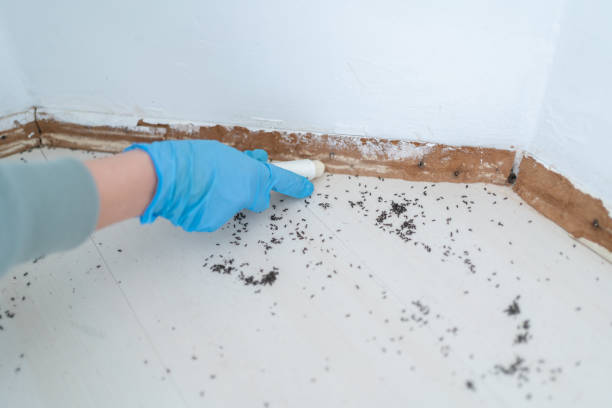 Best Mosquito Control Services  in New Castle, IN