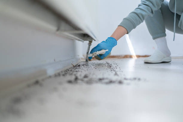 Best Rat Extermination Near Me  in New Castle, IN