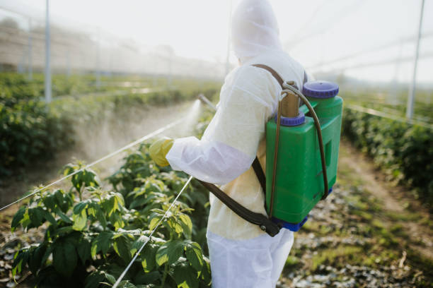 Best Bed Bug Extermination  in New Castle, IN